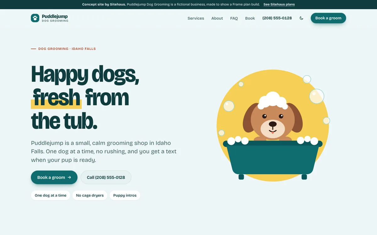 Puddlejump Dog Grooming concept site on a laptop